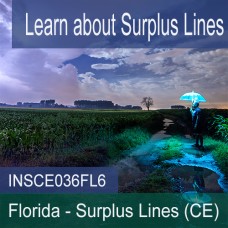 6 hr all Licenses CE - Surplus Lines (INSCE036FL6)