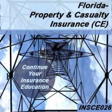 PROPERTY AND CASUALTY INSURANCE CE (INSCE026FL14)
